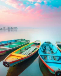 Complimentary shuttle service